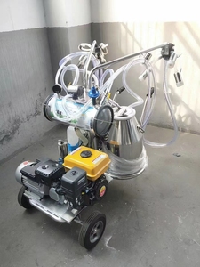 Machine à traire les vaches mobile à moteur essence avec pompe à vide et configuration à seau simple ou double en acier inoxydable - Product Image 3