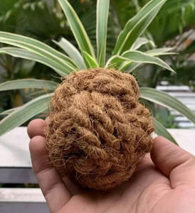 Sustainable Coconut Husk Dog <b>Toys</b> <b>for</b> <b>Pet</b> Chewing/ Coco Coir Ball Chew <b>Toy</b>/ Natural <b>Pet</b> <b>Toys</b> From Vietnam - Product Image 5