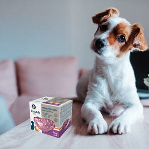 Perles parfumées Pet Club Care 110ml, Joyful Spark, anti-odeur, Symfresh, Neofresh, végan, biodégradable, d'origine naturelle, adaptées aux animaux de compagnie - Product Image 2