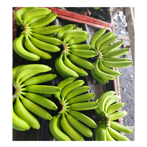 BON PRIX FRESH GREEN BANANA CAVENDISH VIETNAMIEN FRUITS FRAIS DE 99GD VIETNAM 2025 - Product Image 6