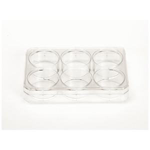 Placas de 6 Pocillos Tratadas para Cultivo Celular Nunc, Paquete de 75 (Cat. No. 140675) - Product Image 2