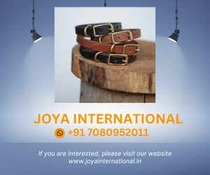 Collier de chien classique-15mm-marron foncé - Product Image 2