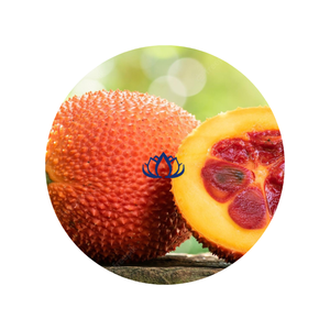 FROZEN GAC MOMORDICA <b>FRUIT</b> and DRIED GAC MOMORDICA <b>FRUIT</b> DRIED <b>FRUIT</b> FROM BLUE LOTUS FARM VIETNAM 2024 - Product Image 1