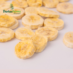 Aperitivos de frutas a granel dulces saludables crujientes de plátano en rodajas liofilizados Origen de Vietnam Darlac Farms BRCGS Certificado al por mayor - Product Image 3