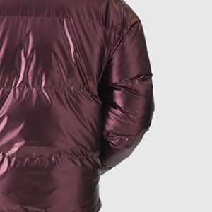 Vente en gros de nouvelles vestes d'hiver pour hommes, fines, en duvet de canard, col montant, imperméables, respirantes, avec logo frontal, style bulle - Product Image 5