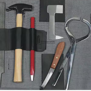 Kit d'instruments chirurgicaux vétérinaires manuels personnalisés en gros, outils chirurgicaux professionnels en acier inoxydable pour équidés, légers, certifiés CE - Product Image 2