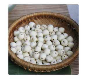 Graines de lotus blanc, fournisseur en gros d'exportation de graines de lotus blanc avec contrôle d'usine garantissant une qualité uniforme - Product Image 1