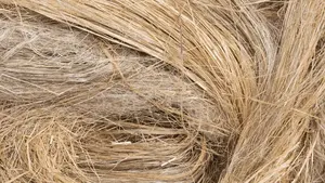 Pulpe de fibre de banane de haute qualité pour l'emballage écologique et la fabrication de papier - Product Image 6