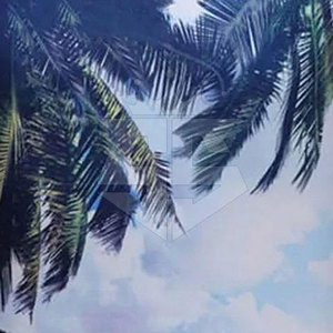 เสื้อยืดสำหรับผู้ชายเสื้อยืดกีฬาคุณภาพสูงสำหรับผู้ใหญ่เสื้อยืดสำหรับผู้ชายดีไซน์ใหม่ - Product Image 6