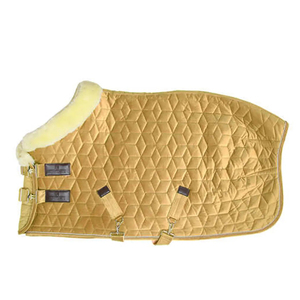 Alfombra de caballo enfriador equino de invierno y verano con tela fuerte Rip stop impermeable y relleno de algodón - Product Image 3
