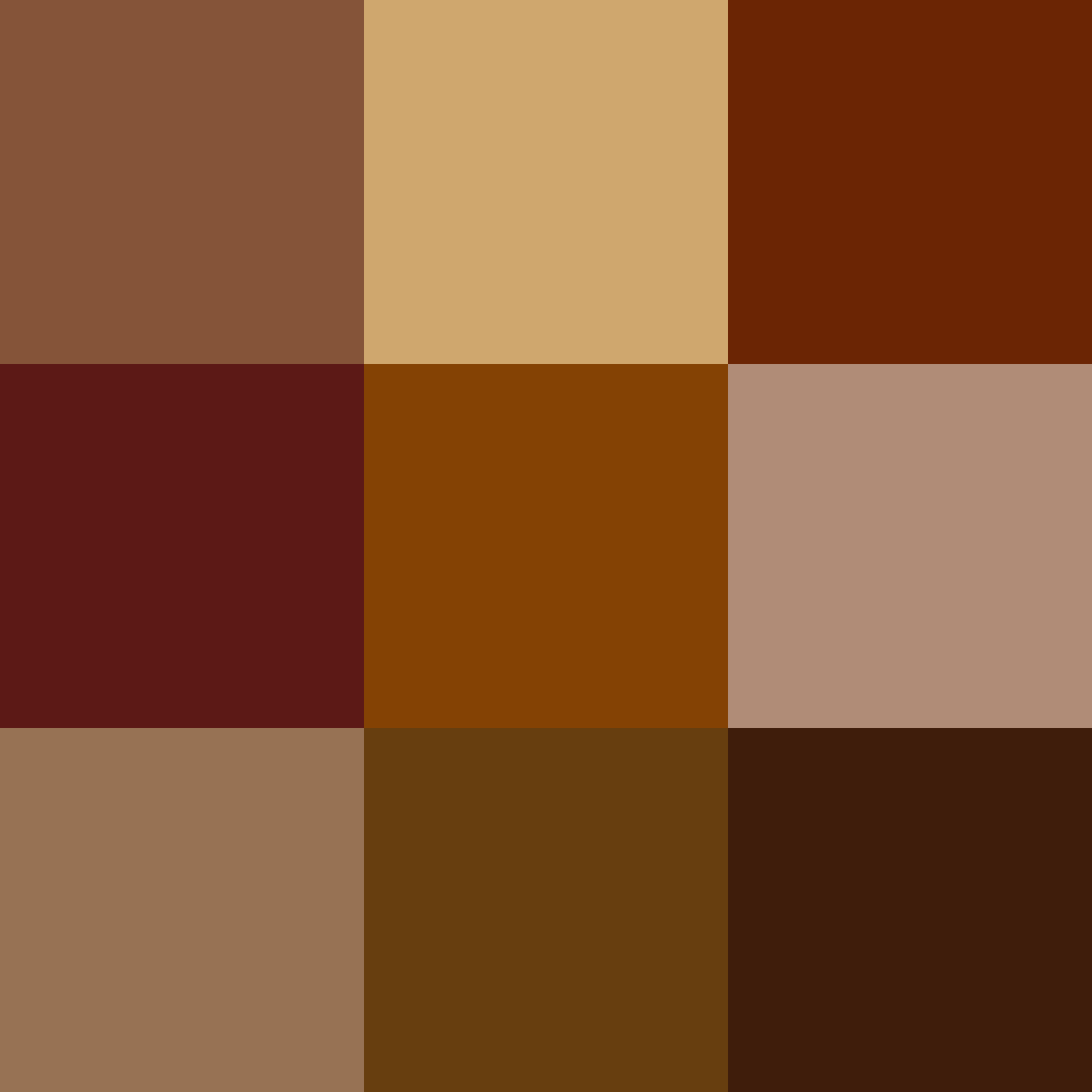 สีน้ำตาล