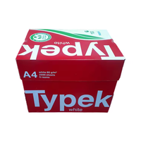 Papier Copie Blanc A3 Typek 100g à Bas Prix, 500 Feuilles/Rame, 5 Rames/Boîte, Origine Afrique du Sud, Vente en Gros et Emballage Export