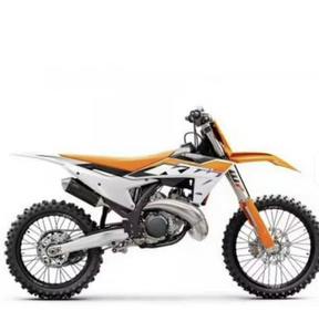 Moto tout-terrain de course Best Performance 250 SX Motorsports, vitesse rapide, prix abordable, avec moteur sans balais, en promotion maintenant - Product Image 2
