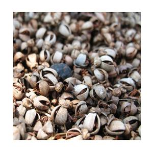 Acheter une coquille de palmiste à partir de déchets agricoles - Product Image 4