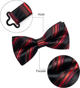 100% soie Polyester impression cravates noeud papillon pour hommes avec bande tissée élégant broderie mode vente entière prix maçonnique cravate - Product Image 2