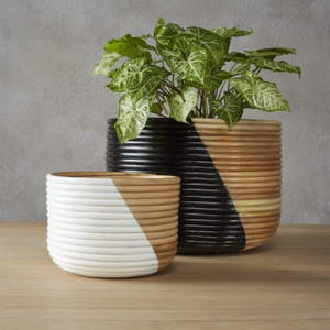 Panier de pot de rotin de canne naturelle tendance chaude décoration de la maison fournitures de jardin de haute qualité et prix bon marché du Vietnam - Product Image 4