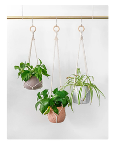 Customized Macrame Plant Hanger for <b>Wall</b> and Window Decoration - Product Image 1