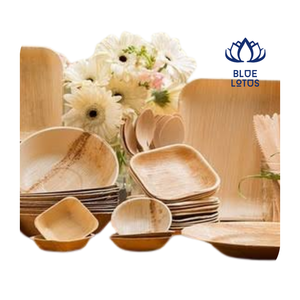 [HAUTE QUALITÉ] |   Assiettes jetables compostables en feuilles de palmier de 10 pouces, en gros, pour barbecue en plein air, pique-nique, camping, fête, fournitures du Vietnam - Product Image 1