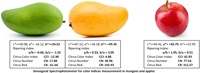Handheld LED Spectrophotometer Colorimeter Citrus Color Index CCI Ripening Index Tomato Color Index TCI Agriculture Fruits
