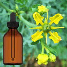 Producto en Oferta |   Aceite Esencial de Ru Natural Puro del Norte de la India para Difusor, Cosméticos y Masajes, Grado Premium en India - Product Image 3