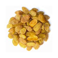 Raisins secs allongés de qualité alimentaire en vrac, procédé AD, 5 % d'humidité, Belgique