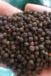 Pimienta Negra de Vietnam, Granos de Pimienta Secos Enteros, Especia Natural Premium, Venta al por Mayor, Proveedor y Fabricante de Procesamiento de Alimentos - Product Image 4