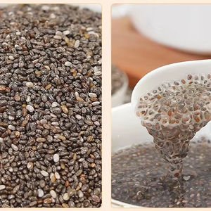 Graines de chia. Graines de chia en gros, graines de chia naturelles de haute qualité, biologiques. Contactez-nous pour les meilleurs prix. - Product Image 1