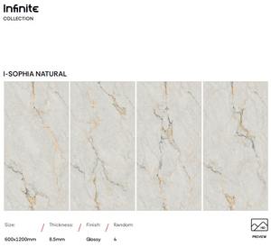 Carreaux de sol en porcelaine polie grand format intérieur 600 x 1200 mm 10 mm pour la maison, le salon, les hôtels, les salles de sport, la salle de bain, la cour - Product Image 4