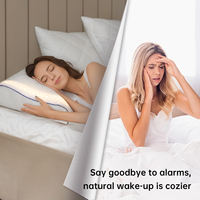 Oreiller de musique du meilleur choix fournisseur OEM avec alarme du lever du soleil et sons de méditation