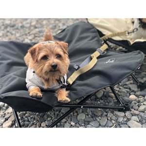 5050PET ANML COTT Suministros para animales pequeños - Product Image 2