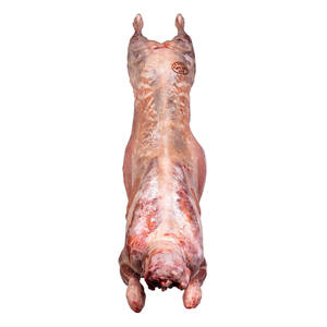 Viande d'agneau congelée de haute qualité, halal, emballée fraîchement, IQF, cuisse, épaule, rack, coupes désossées, approvisionnement en vrac pour le marché des restaurants - Product Image 2