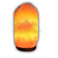 Lampe de sel rose de l'Himalaya au design le plus récent, sculptée style amour, logo personnalisé, durable, forme naturelle, objet d'art de collection pour la maison et les mariages