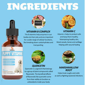 Oem multivitaminico liquido per cani tutti i giorni glucosamina vitamina B C d 3 supporto per gatti gatti al coperto cura le articolazioni fianchi - Product Image 3