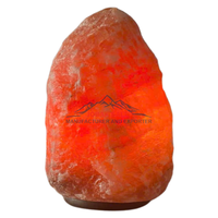Lampe de sel de l'Himalaya JOBAK extra large 75-125 kg, style Feng Shui, sculptée à la main, qualité supérieure, purificateur d'air, toucher réel, livraison rapide