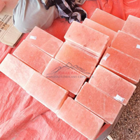 Briques de sel rose de l'Himalaya en vrac, denses, 2x4x8 pouces, certifiées ISO, tailles personnalisables, style Feng Shui, sculptées, qualité supérieure, 100% naturelles