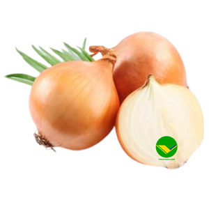 Aumente su inventario y al por menor Cebolla seca de Vietnam para mayoristas y compradores (+ 84983028718) - Product Image 1