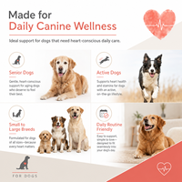 Capsules de Coenzyme Q10 en vrac pour animaux de compagnie, marque privée OEM, CoQ10 pour chiens, bien-être cardiovasculaire, antioxydant, supplément d'énergie cellulaire