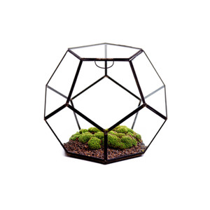 GET1209BK - Terrario Geométrico de Vidrio en Forma de Dodecaedro Prisma Negro Mediano - 7.5H - Product Image 4