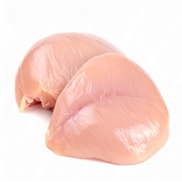 Filet de poitrine de poulet surgelé sans os de qualité supérieure |   Filets de poulet halal de haute qualité, sans graisses trans, en vrac, riches en vitamines, prix compétitifs