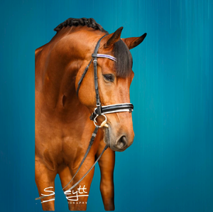 Brida de caballo ecuestre de estilo protector duradero - Product Image 6