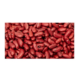 Venta al por mayor a precio económico de frijoles rojos de alta calidad / Precio de frijoles rojos / Venta al por mayor de frijoles rojos de proveedor portugués - Product Image 1