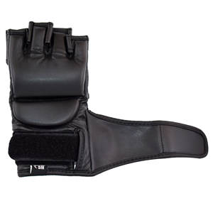 Entrenamiento profesional personalizado de buena calidad, MMa, boxeo, gran oferta - Product Image 3