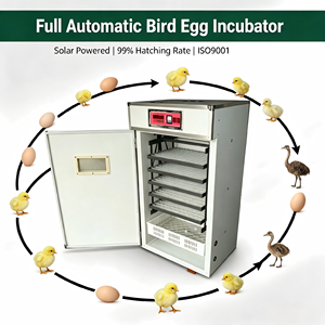 Incubadora de Huevos de Aves Totalmente Automática para Pollo, Pato, Ganso, Emú, Avestruz, con Energía Solar, 99% de Tasa de Incubación, Certificación ISO9001, Nueva - Product Image 1
