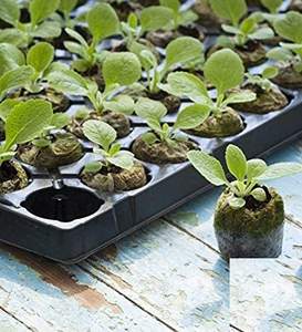 Qualité supérieure 3mm-10mm pièce de monnaie Polyfoam artisanat jardin Art projets Durable léger noix de coco tourbe semis Shrekha créations - Product Image 2