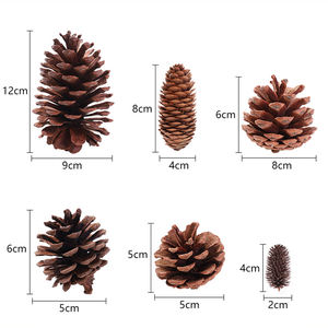 Decoración rústica de piña hecha a mano de la naturaleza agregando vibraciones festivas acogedoras a las casas de vacaciones fiestas de temporada y estilo interior - Product Image 1