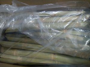 EXPORTACIÓN CAÑA DE AZÚCAR CONGELADA CON EL MEJOR PRECIO DE VIETNAM - Product Image 2
