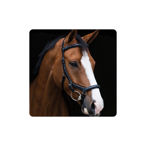 Brida de caballo Micklem de lujo, productos de caballo plegados con la brida Micklem Premium - Product Image 1