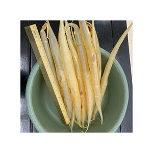 Tripa de Pescado Natural Premium Secada al Sol Bajo Condiciones Higiénicas Rica en Proteínas y con Control de Olores Preparada Específicamente - Product Image 1