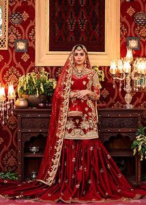 KURT con vestido de GARARA para WALIMA DABKA, cuentas de cristal de piedra, para boda, nuevo diseñador, indio/paquistaní, 2022 - Product Image 2