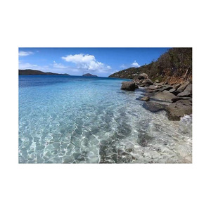 High Quality Beech <b>Wood</b> <b>Logs</b> <b>for</b> Furniture Making Available <b>for</b> <b>Sale</b> at Competitive Prices - Product Image 4